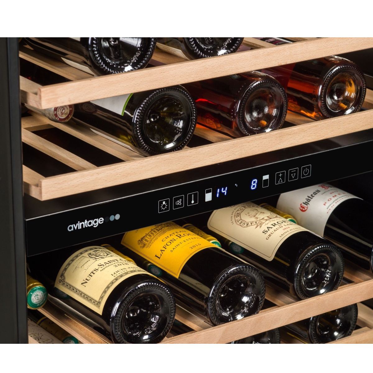 Avintage AVU53TDZBF Wine cabinet